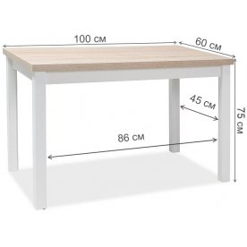 Деревянный стол Adam 100