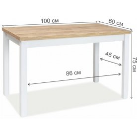 Деревянный стол Adam 100