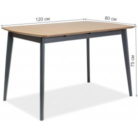 Деревянный стол Vitro II 120