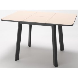 Стеклянный стол Dikline Unis 14