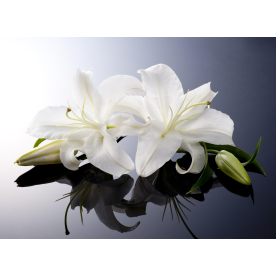 Стеклянный стол Лотос 1200 х 800