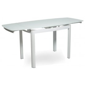 Стеклянный стол SH-6236