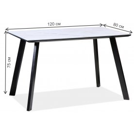 Стеклянный стол Samuel 120/80