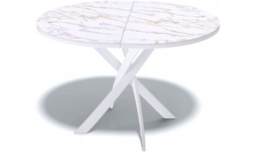 Стеклянный стол R1100s