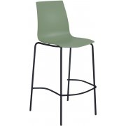 зеленый / черный