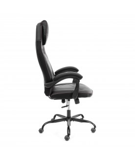 Компьютерное кресло Arena metalBL