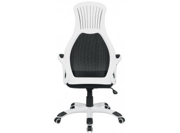 Компьютерное кресло Premium Genesis EX-517