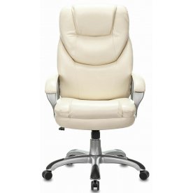 Компьютерное кресло Premium Nord EX-590