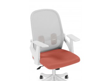 Компьютерное кресло Bust