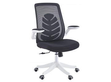 Компьютерное кресло Chairman CH565