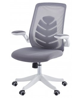 Компьютерное кресло Chairman CH565