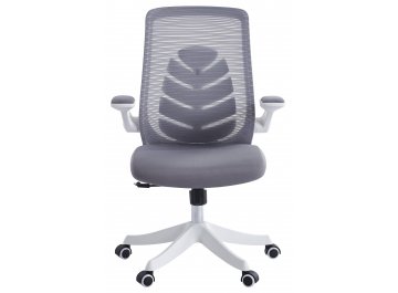 Компьютерное кресло Chairman CH565