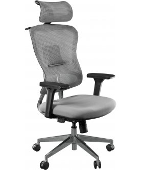 Компьютерное кресло Expert Ergo Fly серый