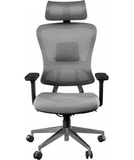 Компьютерное кресло Expert Ergo Fly