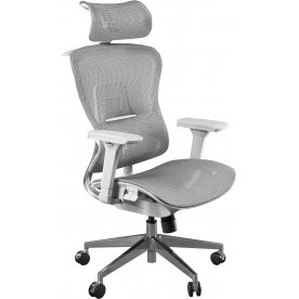 Компьютерное кресло Expert Ergo Fly