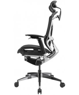 Компьютерное кресло Gt Chair Dvary X Pro
