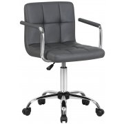 серая экокожа