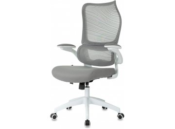 Компьютерное кресло Sigma WH 1