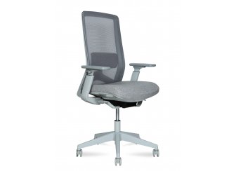 Компьютерное кресло Williams grey LB