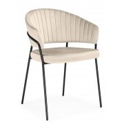 светло-бежевый (H-05)