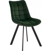 зеленый / черный