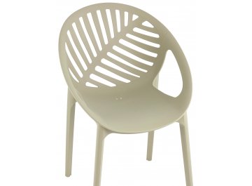 Пластиковый стул Мимоза