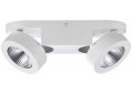 Спот Laconis 3538/2WL