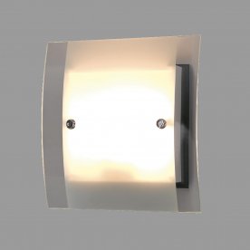 Накладной светильник Сантона CL210315