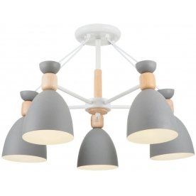 Потолочная люстра Delia FR5033CL-05W