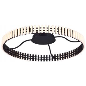 Потолочный светильник SL6203.402.50