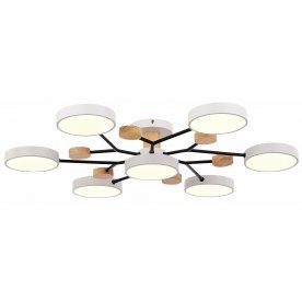 Потолочный светильник SLE6006-502-07