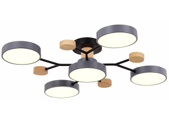 Потолочная люстра SLE6006-702-05