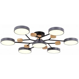 Потолочный светильник SLE6006-702-07