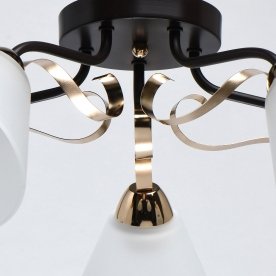 Потолочная люстра Нежность 676014605