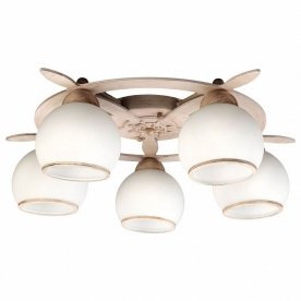 Потолочная люстра OML-50517-05