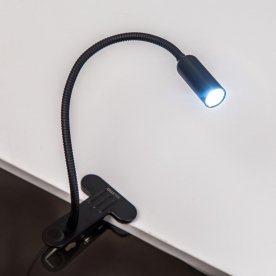 Настольная лампа Ньютон CL803061N