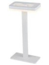 Настольная лампа ST Luce SL864.514.01