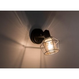 Спот Таверна CL542511