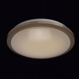 Потолочный светильник Ривз 674012601