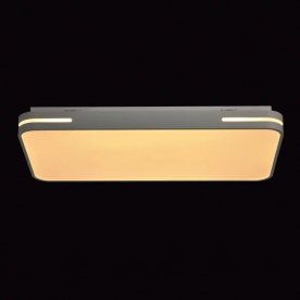 Потолочный светильник Ривз 674012801