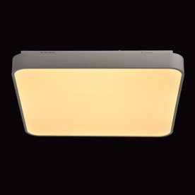 Потолочный светильник Ривз 674013001