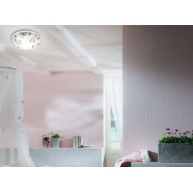 Настенно-потолочный светильник Cats 2070/DL