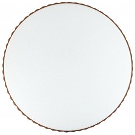 Настенно-потолочный светильник Dina 2078/DL