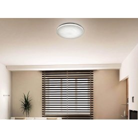 Настенно-потолочный светильник Modes 2043/DL