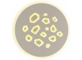 Настенно-потолочный светильник PEBBLES 3024/28WL