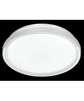 Настенно-потолочный светильник SLOT 3028/DL