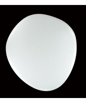 Настенно-потолочный светильник Stone 2039/DL