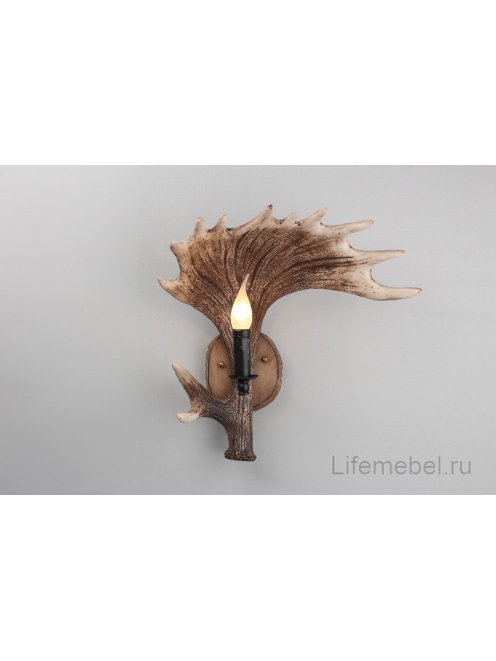 Настенный светильник Sinio OML-52201-01