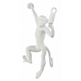 Настенный светильник SLE115111-01