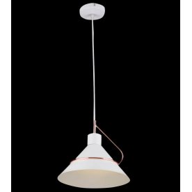 Подвесной светильник Amis FR5025PL-01W